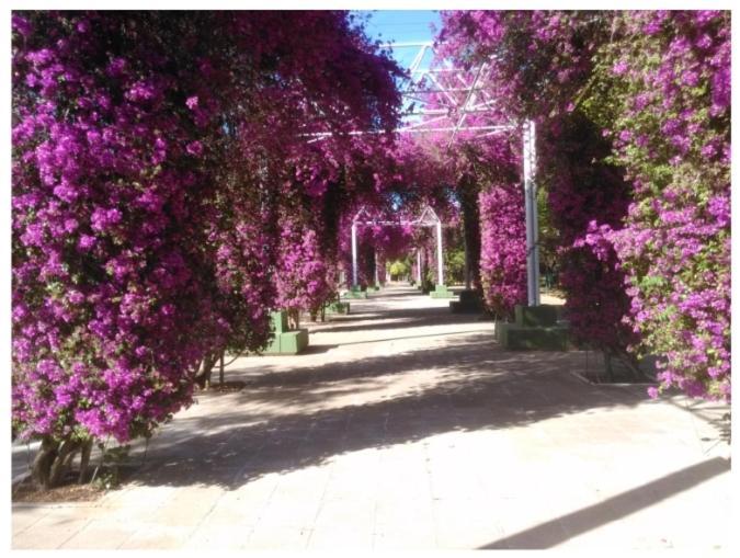 Sevillapark Vakantiehuis *